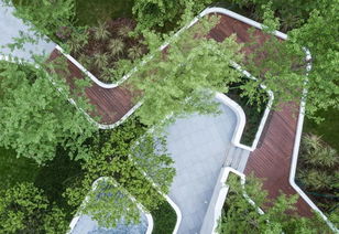 重慶公司精品大區處女作曝光丨金科九曲河